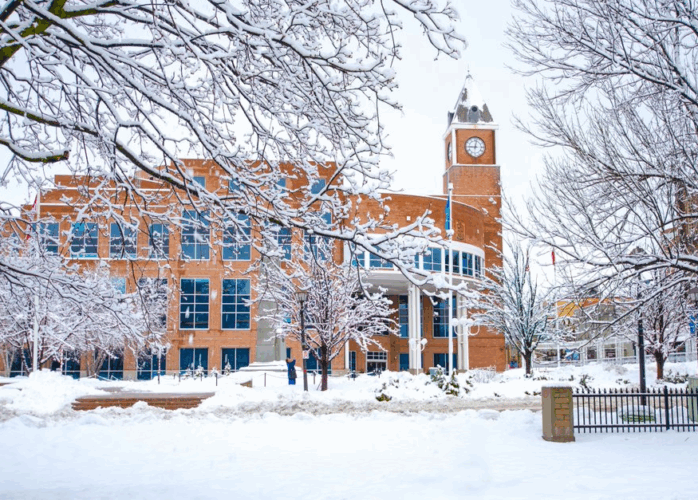 brampton city hall building